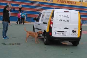 Marpequeña, sede de un campeonato de Detección Deportiva (Foto TA)